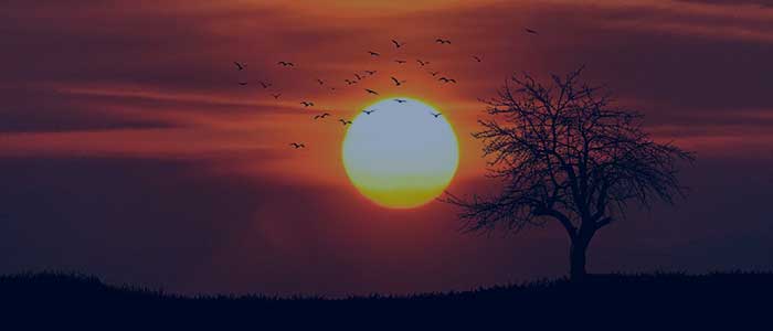 Ingeniería Energética Solar